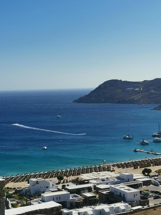 Villa Viktoria In Elia Beach, Mykonos Mykonos Town Dış mekan fotoğraf